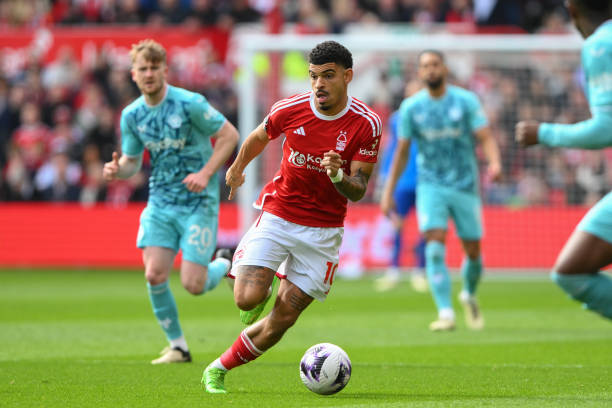 在国家荣誉 在国家荣誉